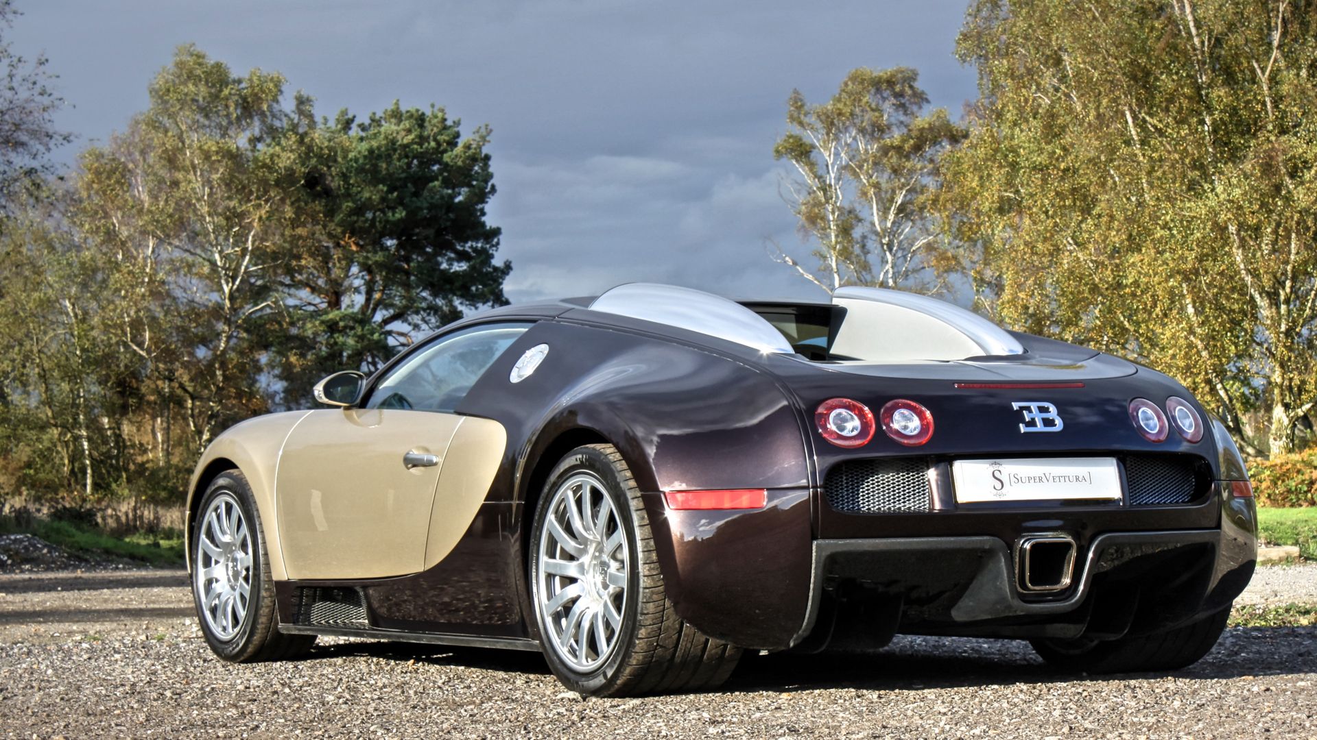 A Luxurious Masterpiece: The 2009 Bugatti Veyron 16 4 Grand Sport